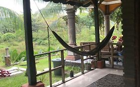 Sumatra Cheeky Monkeys